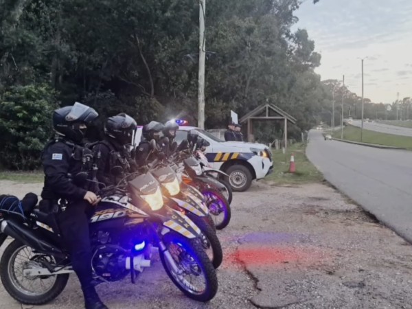 Más de 200 operativo...