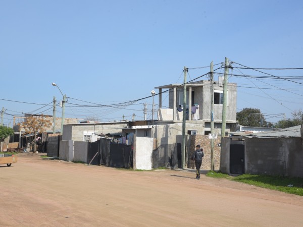 Los Eucaliptus: mini...