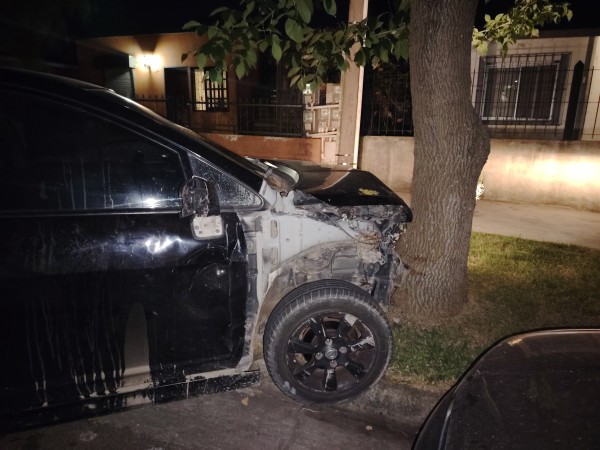 (Video) Escapaba de la policía cuando se estrelló contra un árbol