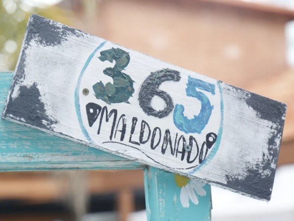 Maldonado 365: se vi...