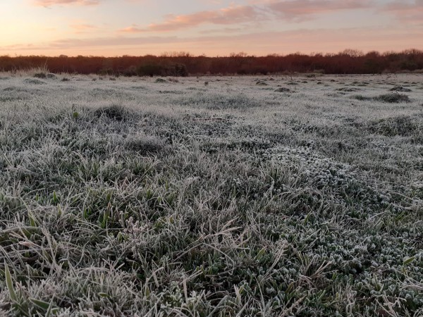Temperaturas por debajo de 0º y nieblas: el pronóstico de Inumet para Maldonado