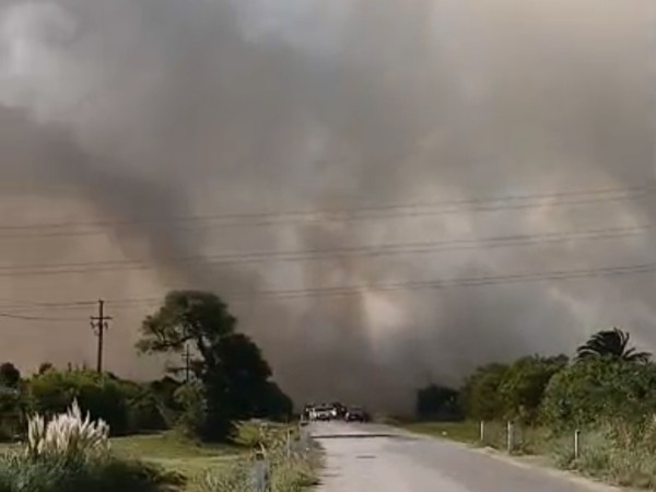 Bomberos trabaja par...