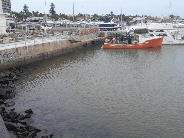 Hombre declara este...