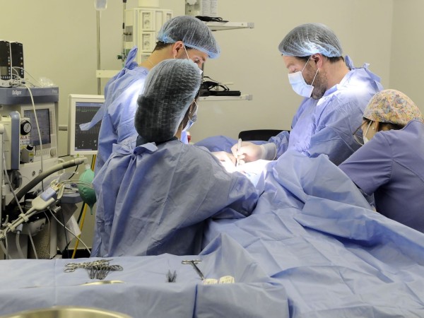 Cirujanos plásticos denuncian sobre operaciones de médicos no especializados y alertan sobre los peligros