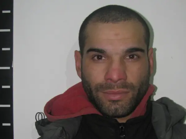 hurtos, allanamientos, local comercial, condenado