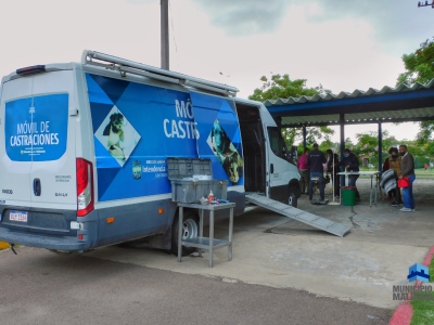 Tenencia responsable de mascotas: Se realizaron 236 castraciones en marzo