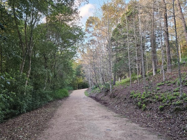 Arboretum Lussich ad...