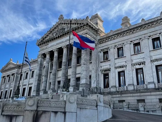 Constitución, ingreso intendencia, Ley