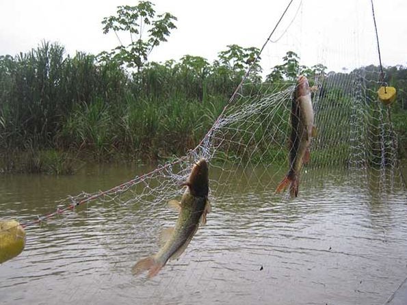Denuncian pesca indiscriminada en las costas de Maldonado