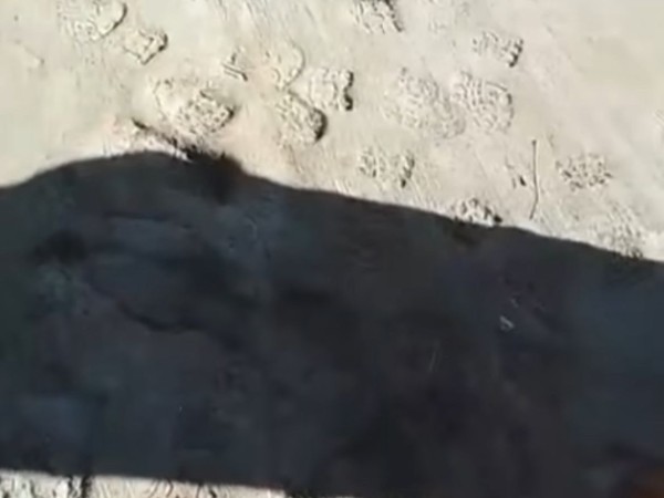 Video: dañaron un tr...