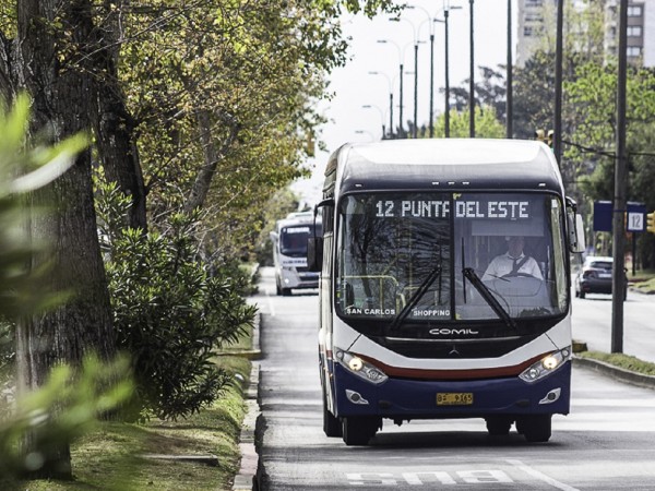 Transporte el 1° de Mayo: cuándo serán las últimas salidas de los ómnibus en la víspera del feriado