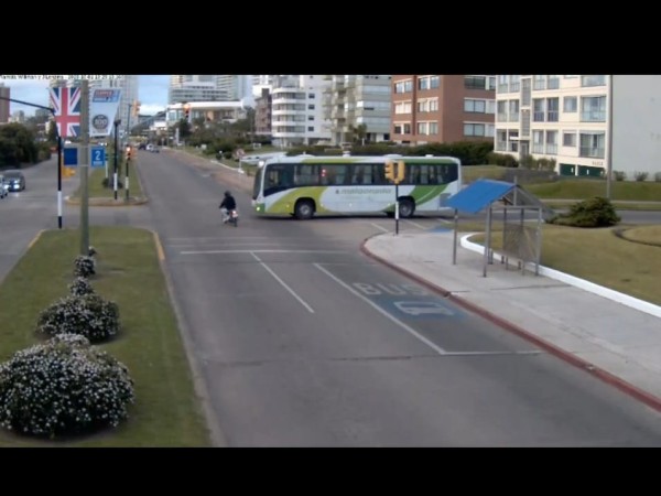 Impactantes videos d...