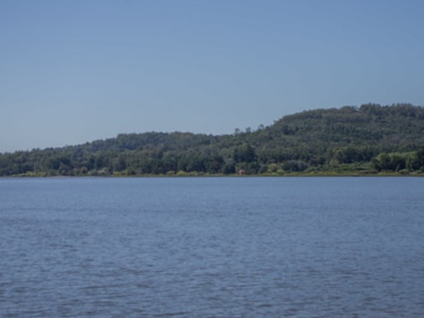 Un hombre falleció tras arrojarse al agua en Laguna del Sauce y golpearse la cabeza con una roca