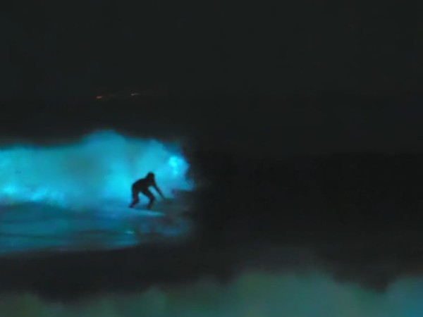 El increíble video d...