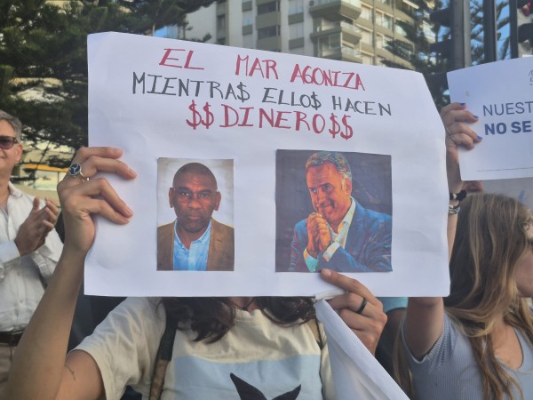 Organizaciones se mo...