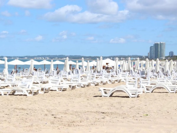 Edil del FA propone...