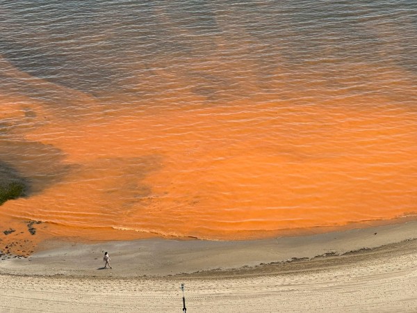 Punta del Este amane...