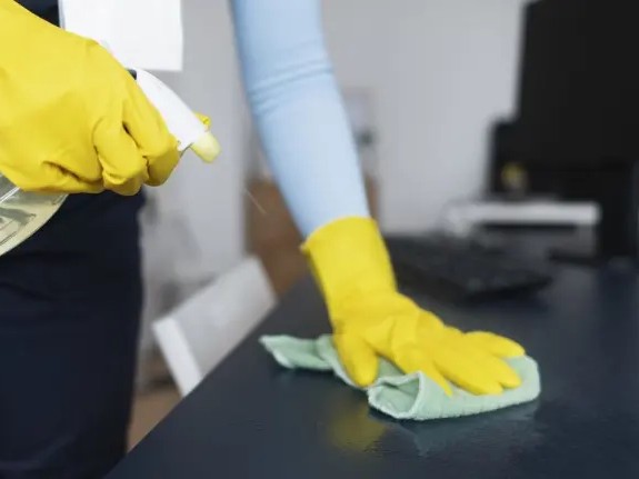 Trabajadoras domésti...