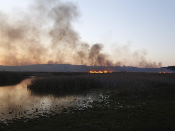 “Fue un desastre ecológico total”, aseguró especialista en ecoturismo sobre incendio en Laguna del Diario