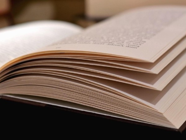 Este viernes se realiza el Tercer Encuentro Internacional de Literatura en Garzón y La Juanita
