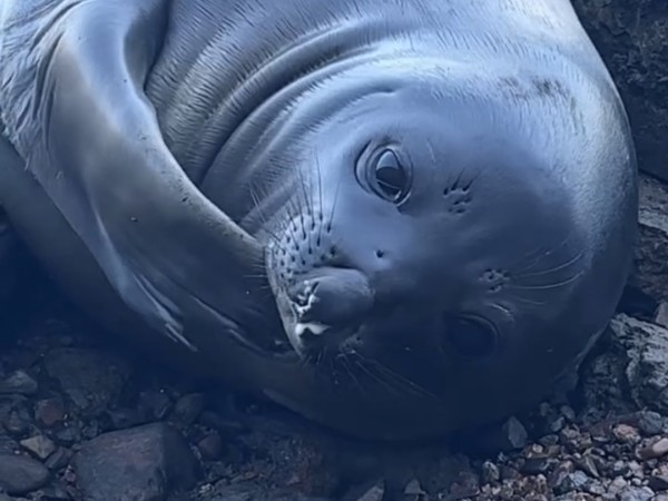 Municipio de Piriápo...