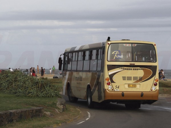 micro ltda, pan de azucar, transporte,