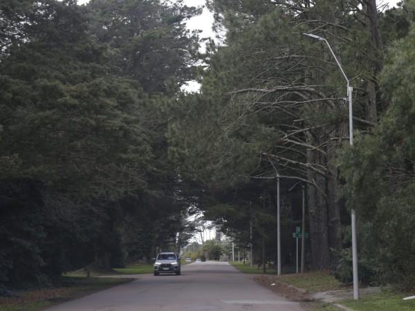 Instalan nuevas luminarias LED en tres avenidas de Punta del Este