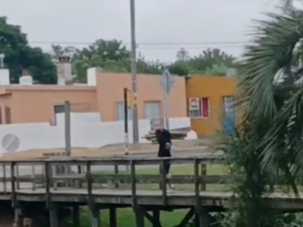 Insólito: se robaron...