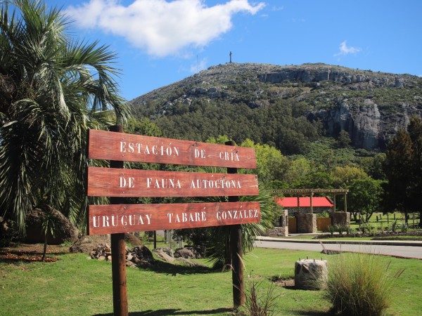 La ECFA continúa cer...