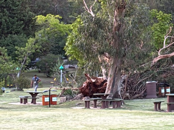 Una mujer falleció t...