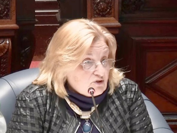 Senadora Bianchi dij...