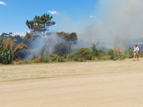 Se reavivó incendio...
