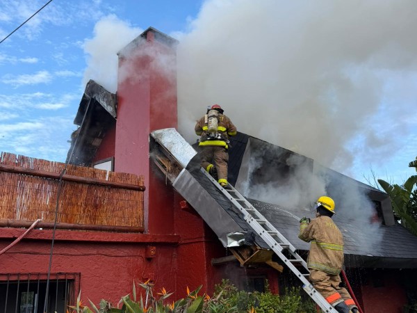 Bomberos combaten un...