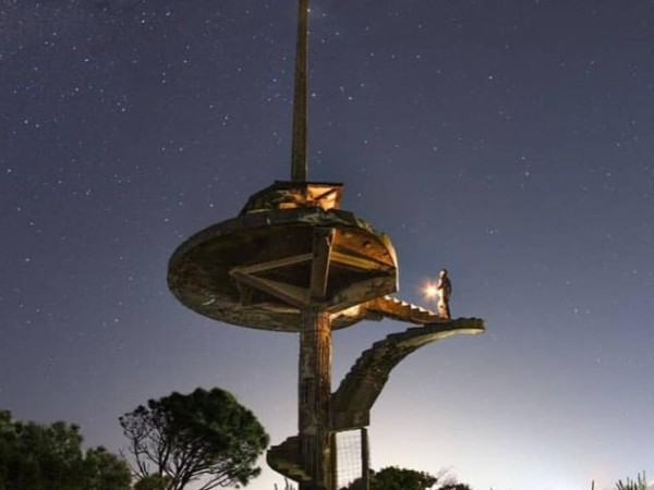 Intendencia declaró...