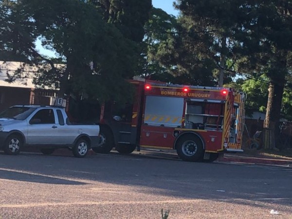 Fuego en aire acondicionado de escuela de Maldonado fue sofocado por Bomberos