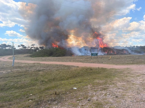 Incendio forestal en...
