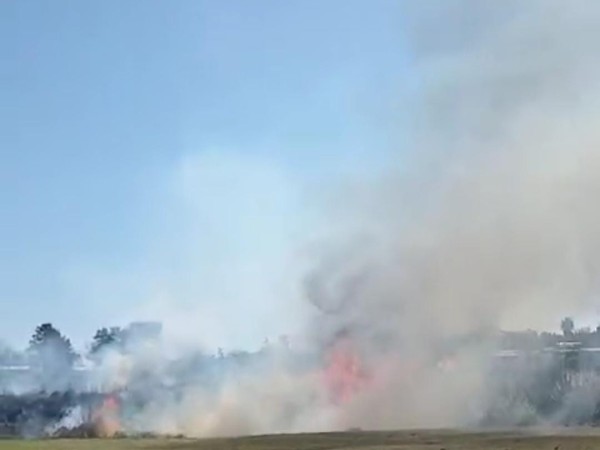 Cerro Pelado: vecinos apuntan a la quema de cables como causa del incendio