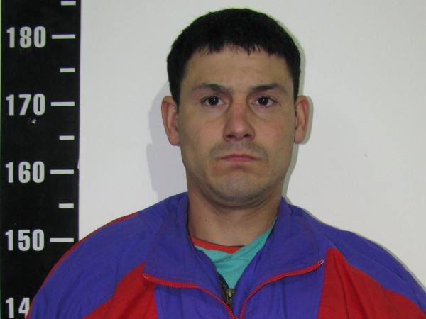 destornillador,hombre,muerto,clavado