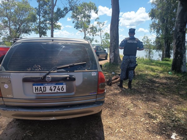 Sorpresa en la costa...