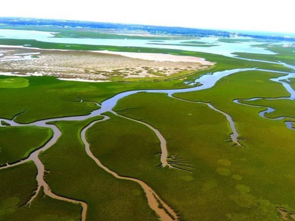 El humedal del arroyo Maldonado podría ser propuesto como sitio de alto valor ecológico