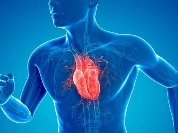 Realizarán encuesta para conocer sobre la salud cardiovascular en Maldonado