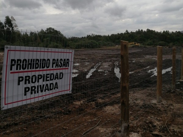 Directora de Urbanismo solicitó al municipio de Piriápolis que detenga obras de desmonte y cambio de cursos de agua en Playa Grande
