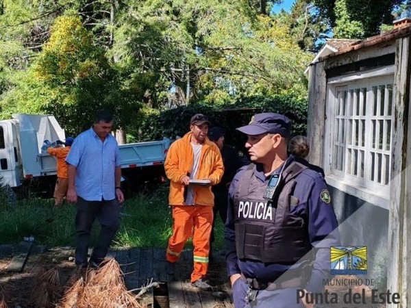Tapiarán un predio que estaba ocupado ilegalmente