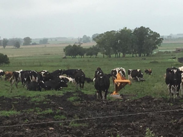 “A todos los necesit...