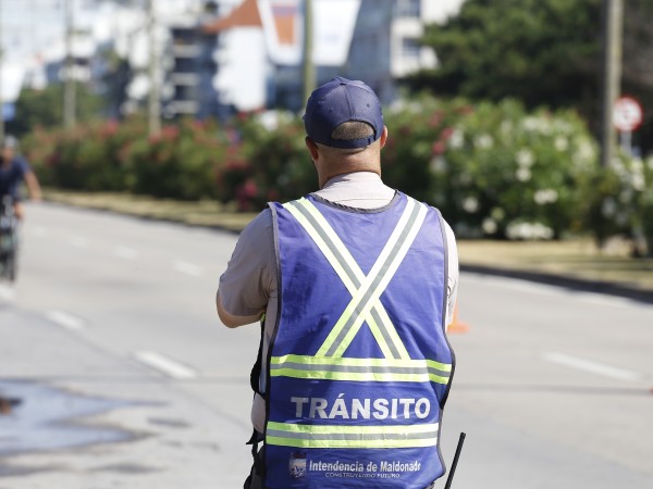 Conductor extranjero acumuló 40 mil dólares en infracciones en un mes; cuáles fueron las multas del verano