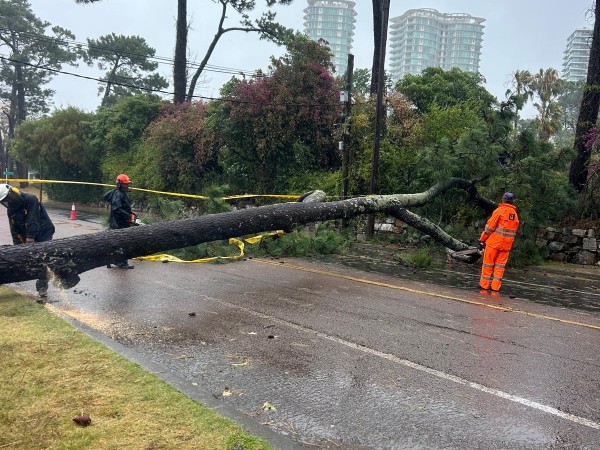 Fuertes vientos en e...