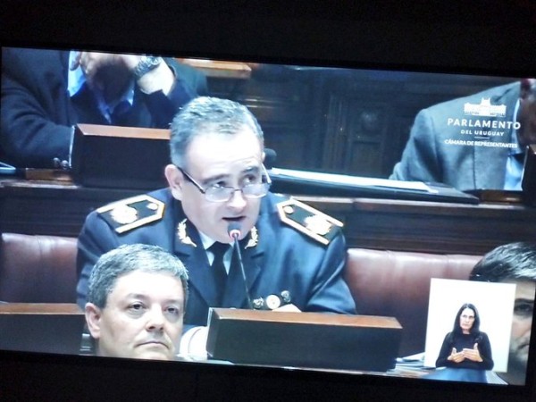 pioli, interpelación, director nación de policías