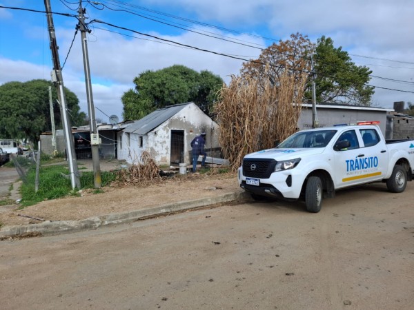 Desarticularon foco de distribución de drogas y armas en Pan de Azúcar tras denuncia anónima