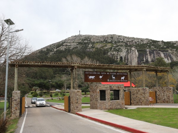 Abrió parcialmente l...