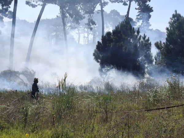 Fuego en predio de B...